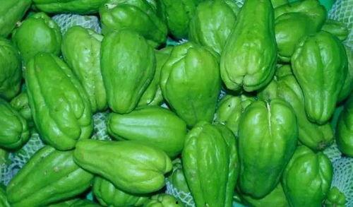 吃瓜智商,揭秘吃瓜背后的智慧与趣味