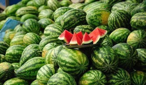 吃瓜小组文雅名称,探寻“吃瓜小组”的文雅魅力