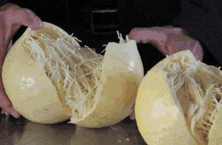 梦到街上买瓜吃瓜