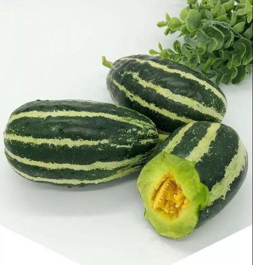 启宸花园吃瓜,揭秘吃瓜群众的欢乐盛宴