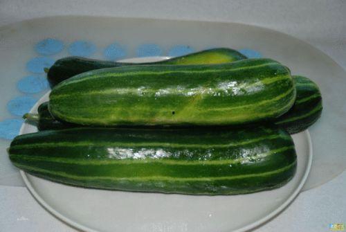 吃块瓜解渴图片,一瓜解千渴——探寻吃瓜解渴的神奇魅力