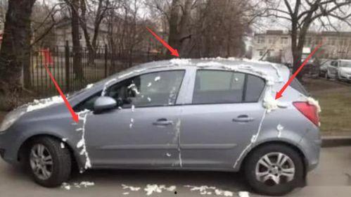 雅阁女车主吃瓜