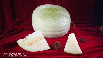 三白瓜怎么吃的,解锁夏日清新美味