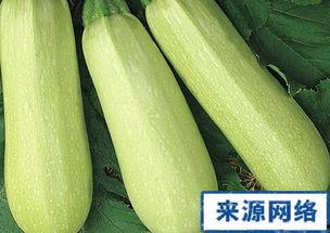 怀孕吃白瓜,白瓜助力健康孕育