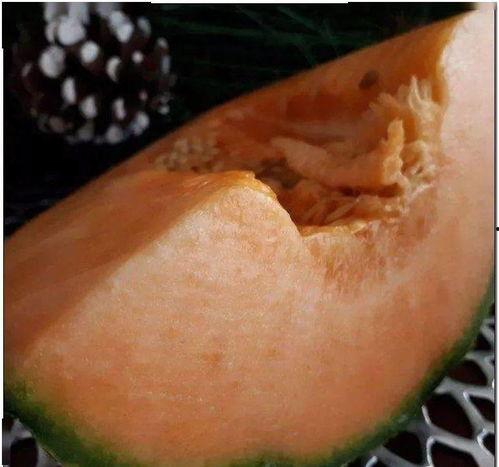 陕西奶奶吃的瓜,传统与创新的完美融合