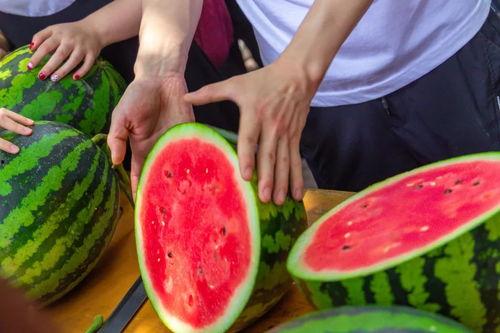 各大学吃瓜事件江西,校园风云录